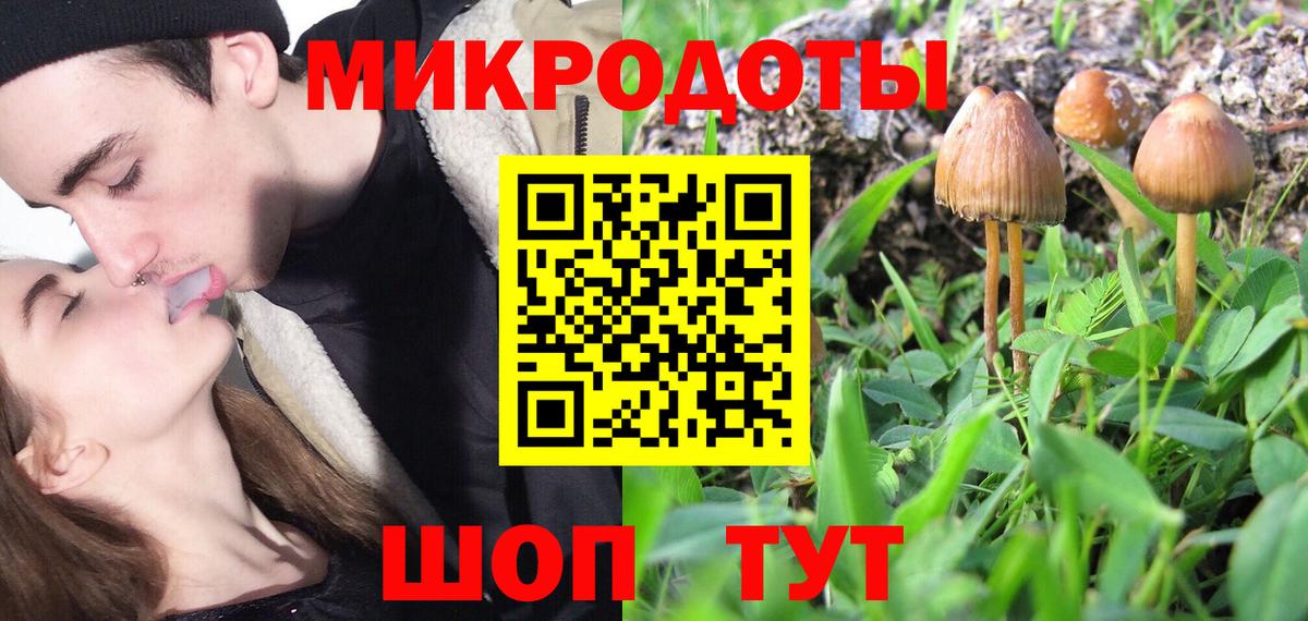 Новосибирск  Галлюциногенные грибы Psilocybe  Вход с VPN 
