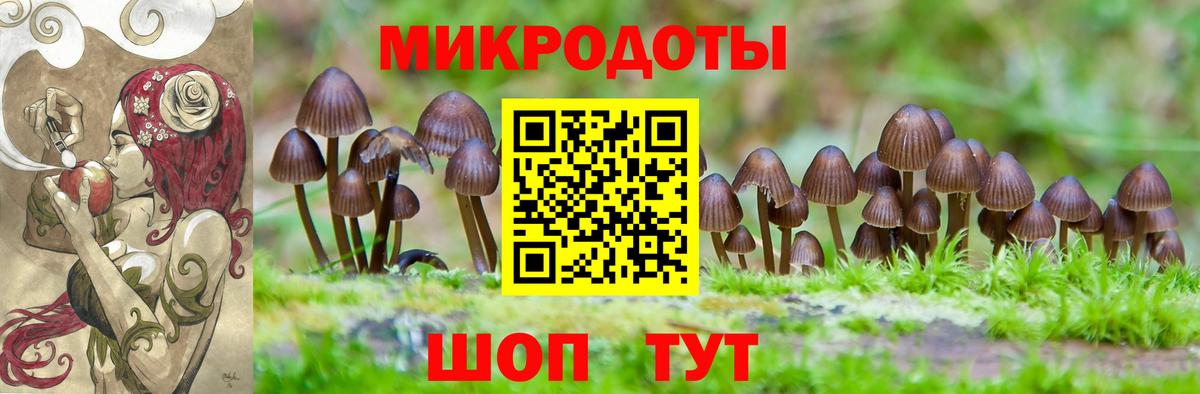 Псилоцибиновые грибы ЛСД Новосибирск
